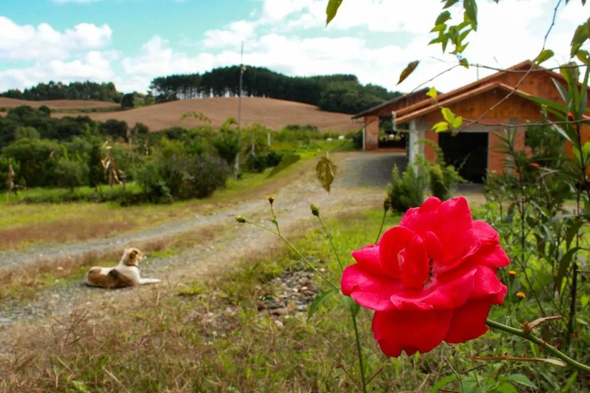Villa Casa Agroecologica Lampert à Campo Alegre  0*, Campo Alegre (Santa Catarina)