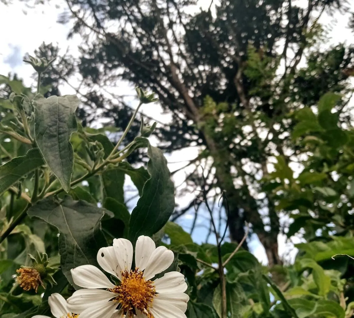 펜션 캄푸 알레그리 Casa Agroecologica Lampert 빌라